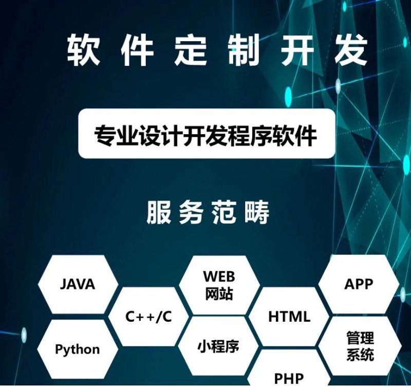 软件定制开发引领企业创新潮流